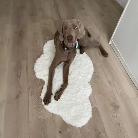 Independante Dans Un Domaine Prive 25 Minutes De Cannes Fréjus