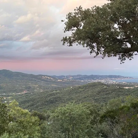 Nyaraló Independante Dans Un Domaine Prive 25 Minutes De Cannes *